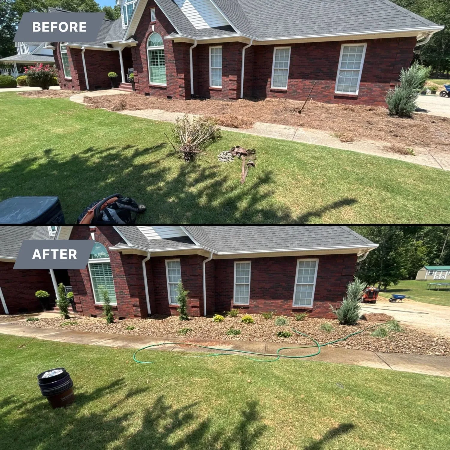Before after front foundation bed young evergreens brick ranch