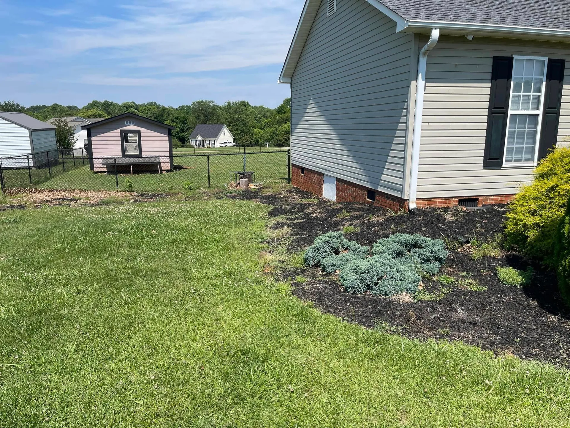Blue juniper black mulch side yard bed