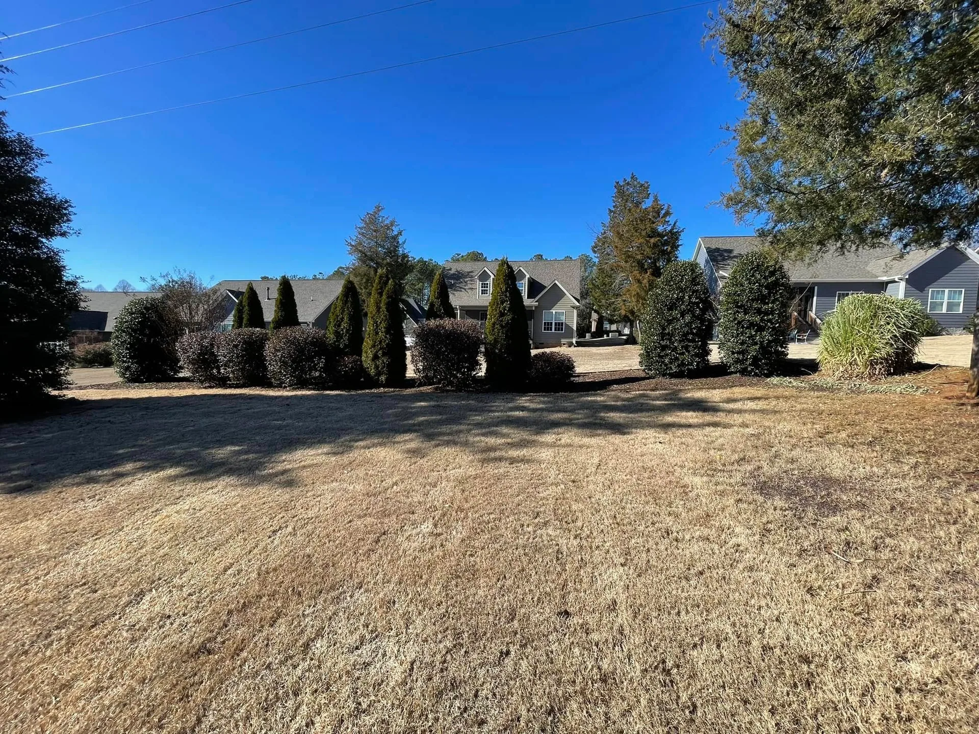 Columnar evergreen privacy hedge row backyard.4251cf3b