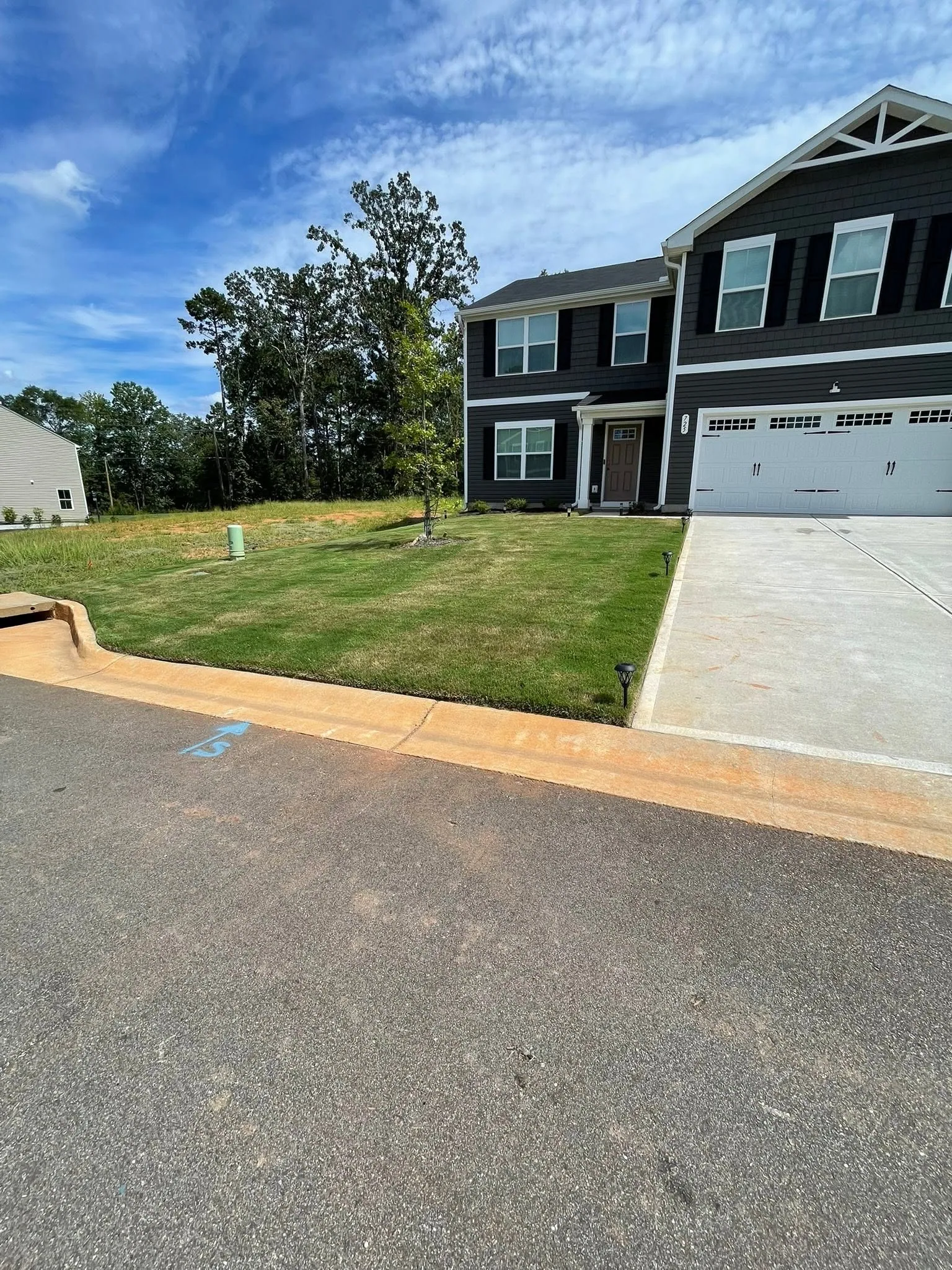 Curbside view new sod lawn gray two story home