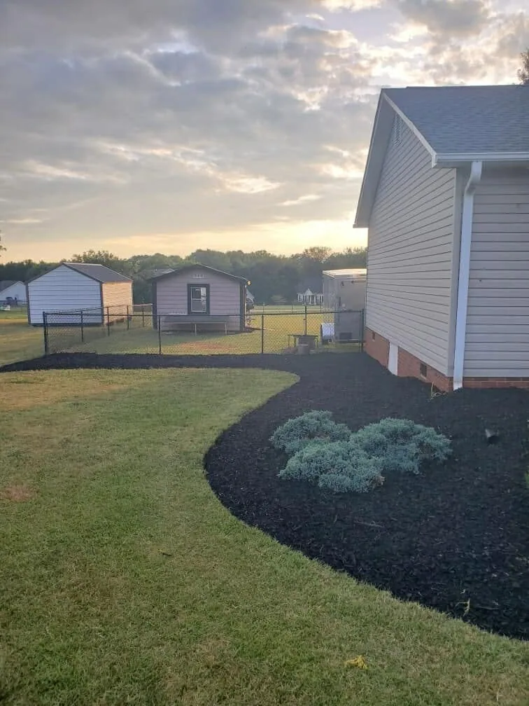 Curved black mulch bed blue juniper side yard.d714b303