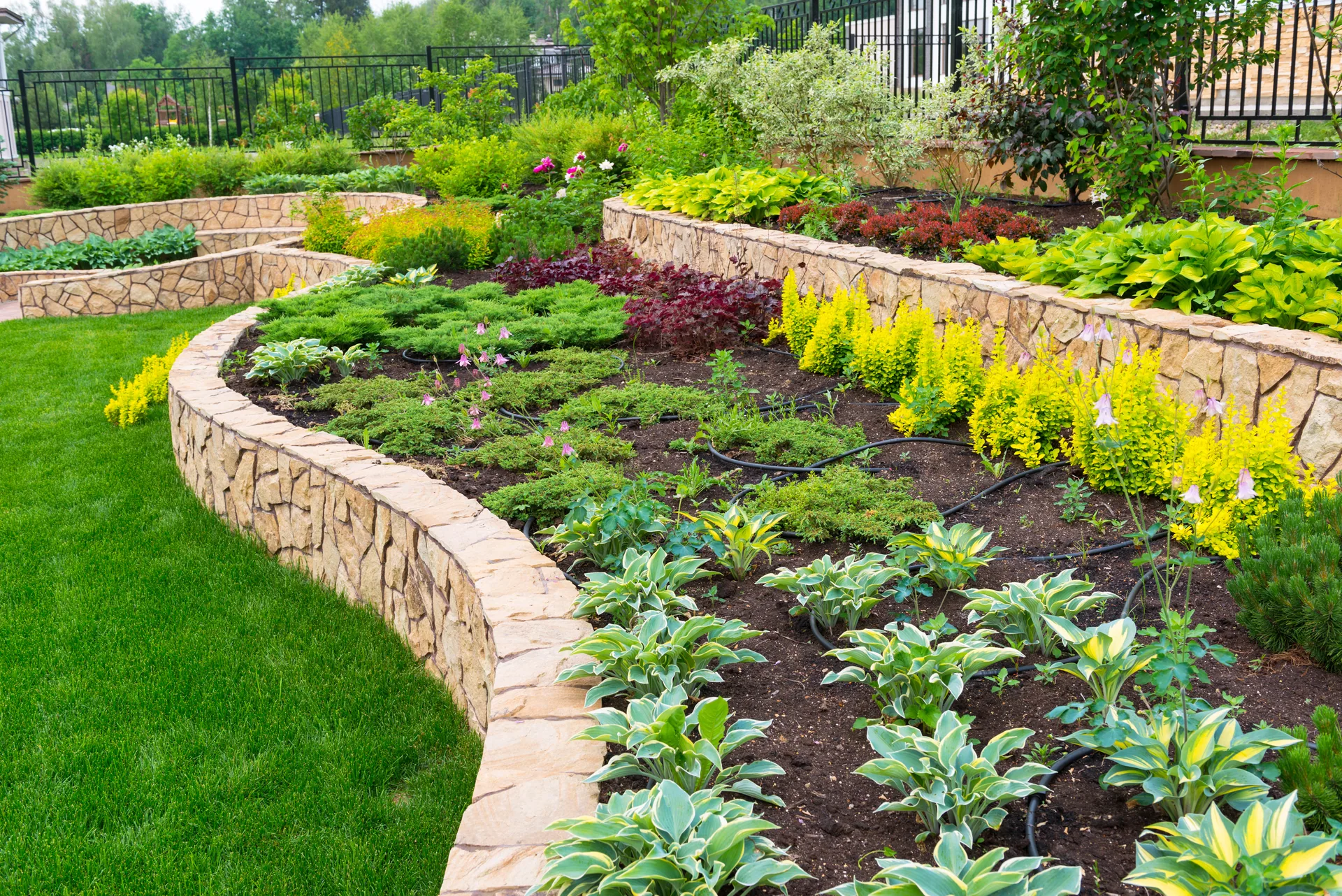 Curved stone raised bed hostas drip irrigation