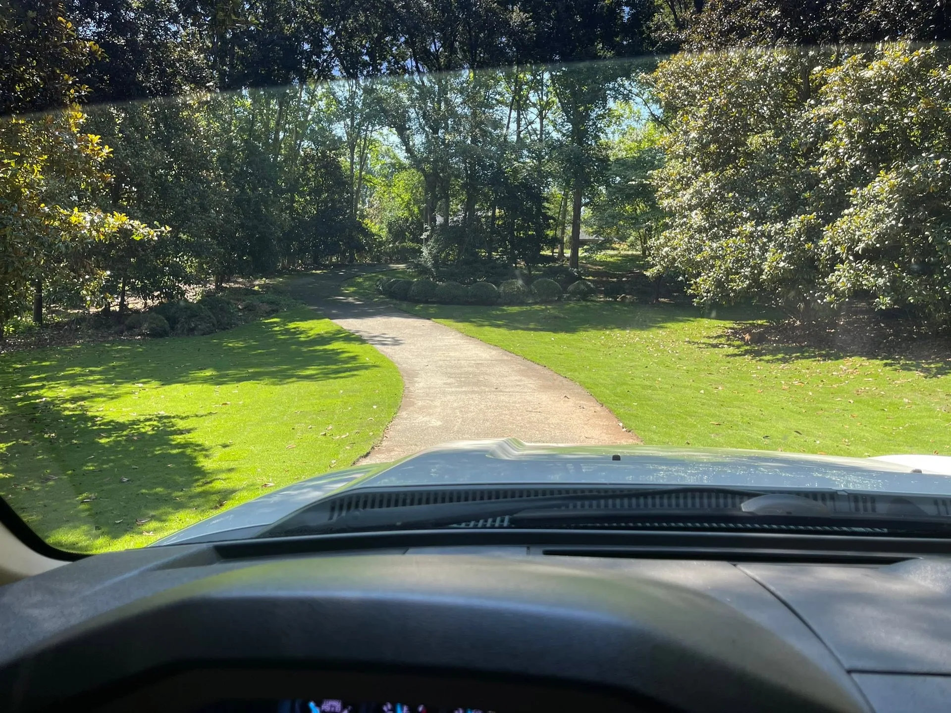 Dashboard view wooded driveway green lawn magnolias.3add65e0