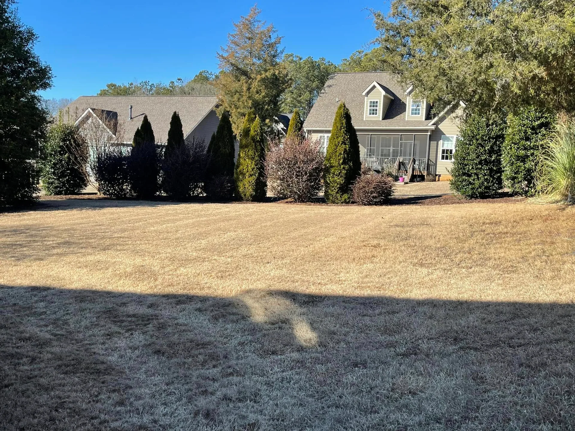 Dormant winter lawn evergreen shrub border.058dd7ea