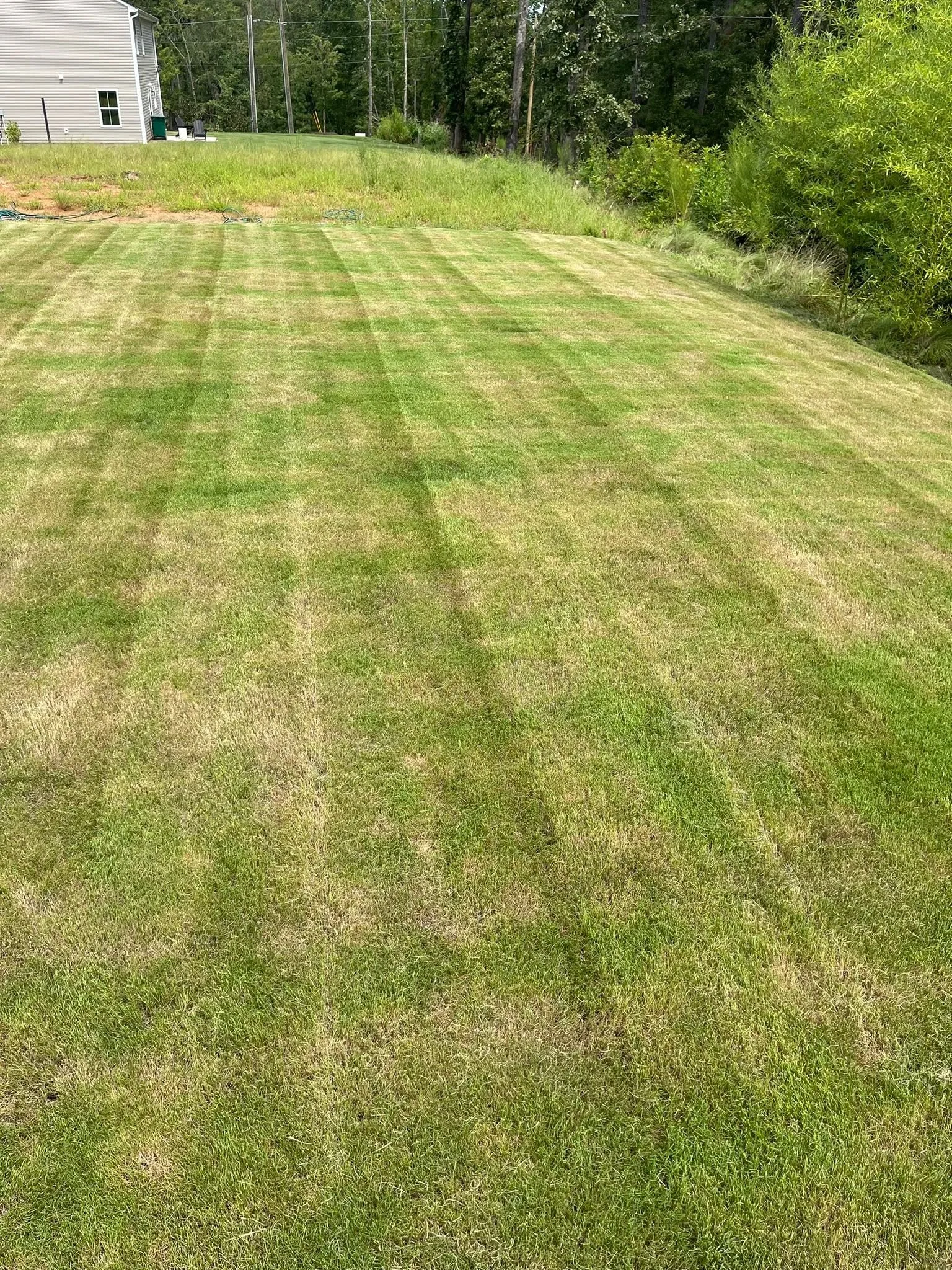 Fresh mow stripes sloped lawn wooded edge