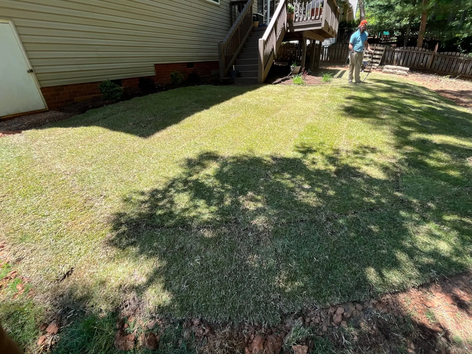 Fresh sod red clay edge shaded backyard SC