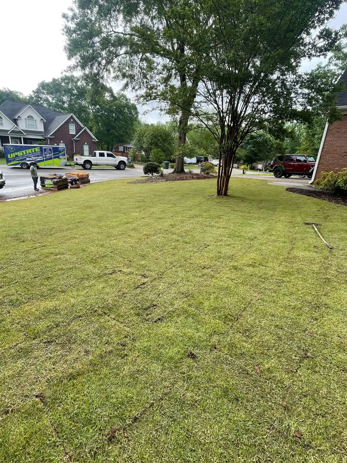 Fresh sod seams front lawn pallets trailer curb.34138199