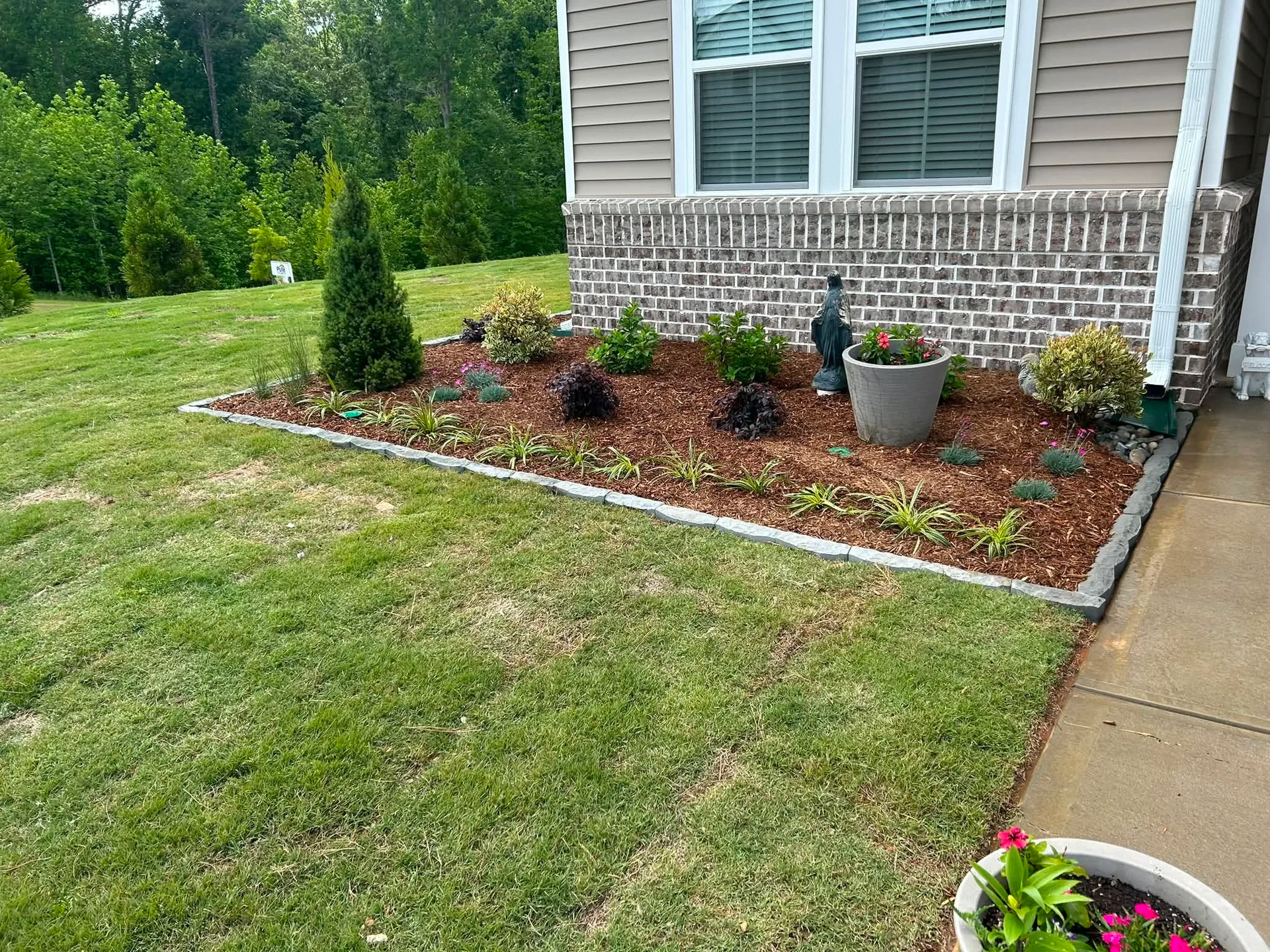 Gray block border foundation planting dwarf spruce sc.d2a9c62e