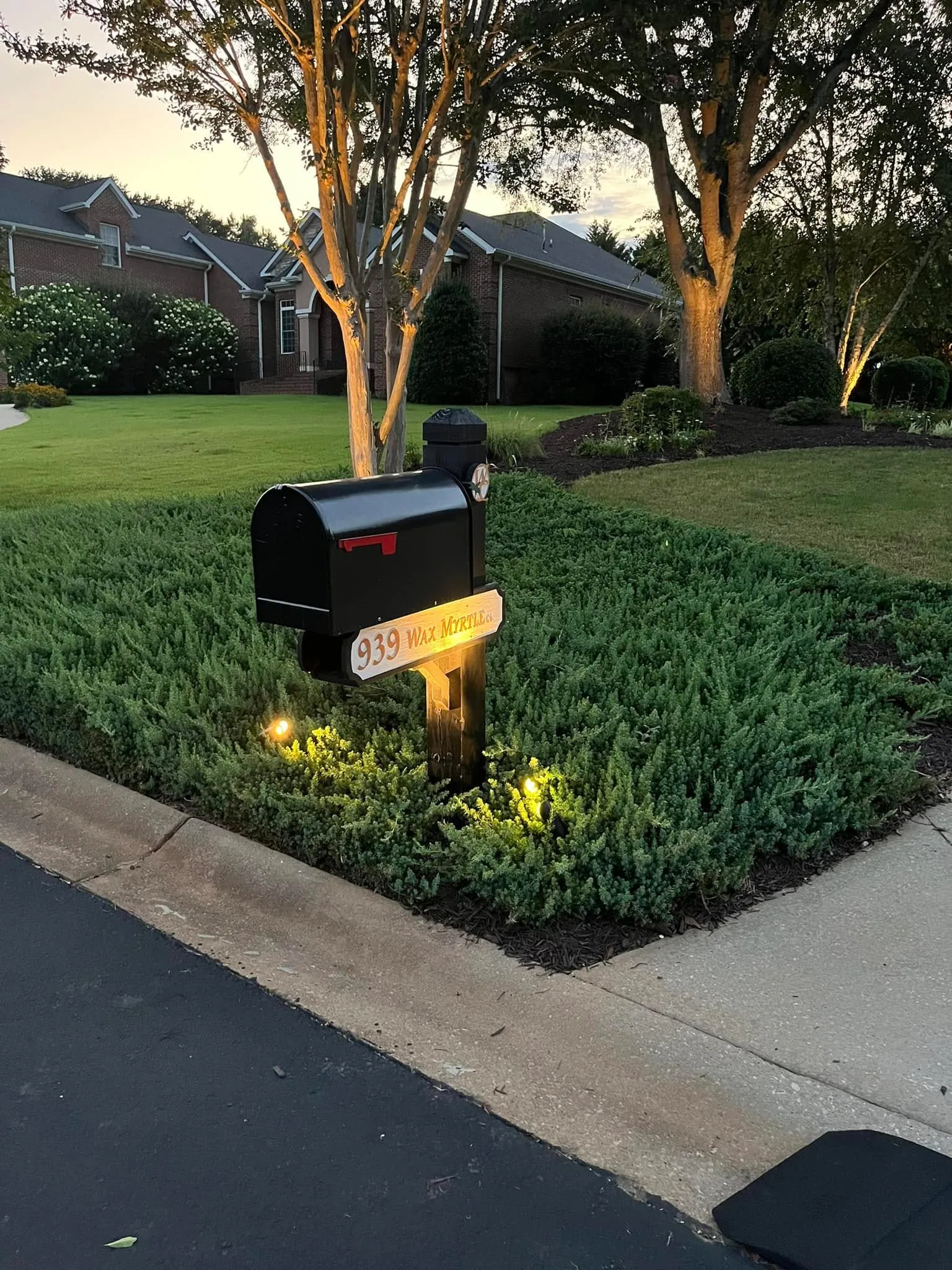 Lighted mailbox juniper groundcover bed dusk.285d9c97