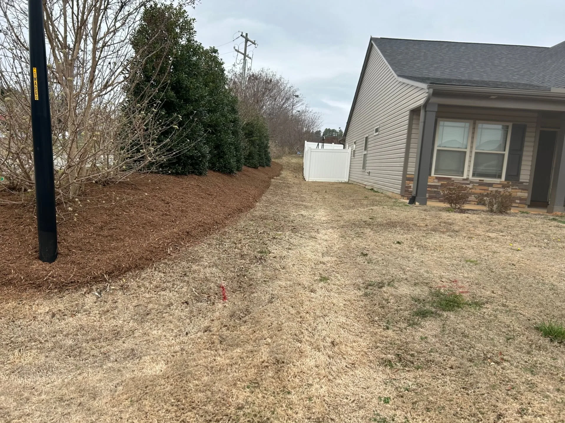 Long brown mulch bed evergreen screen side yard.ac03dd27