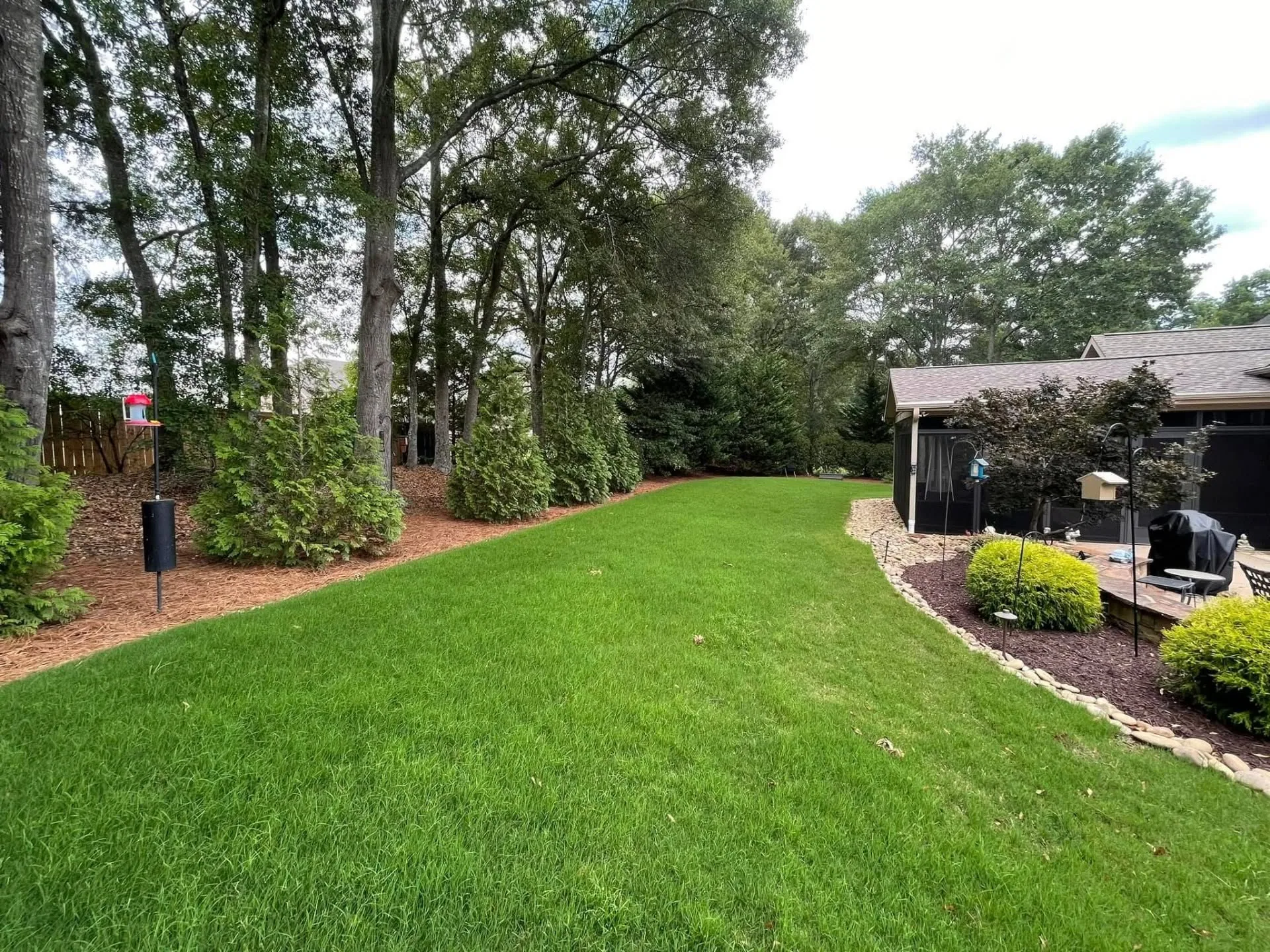 Lush backyard lawn pine straw beds screened porch
