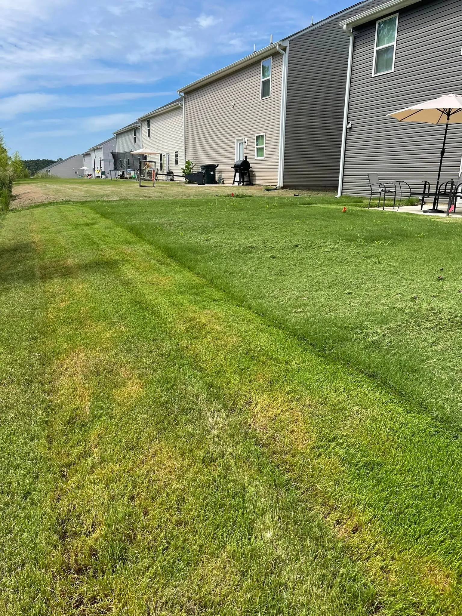 Mowed lawn edge row vinyl homes backyards.1cdb6578