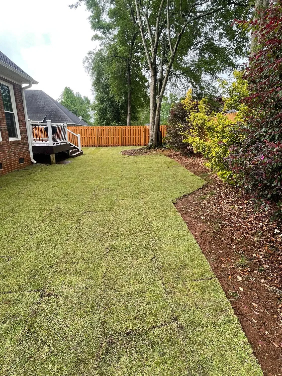 New sod backyard wood privacy fence deck.79f9a95e