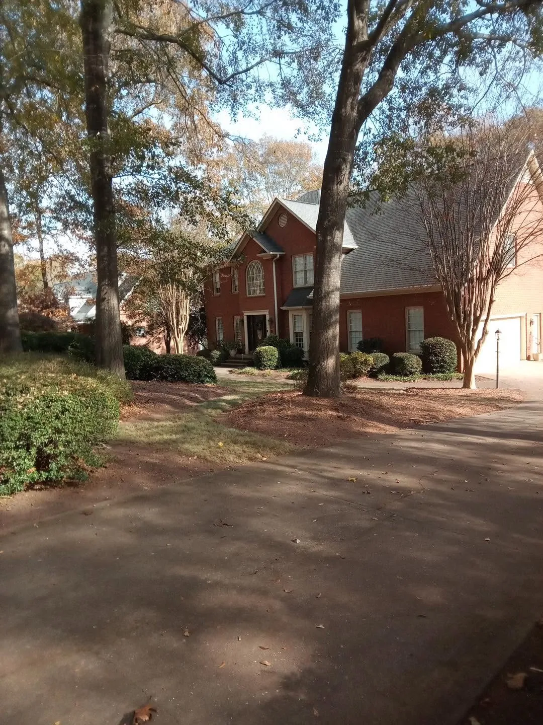 Pine straw beds mature trees red brick colonial