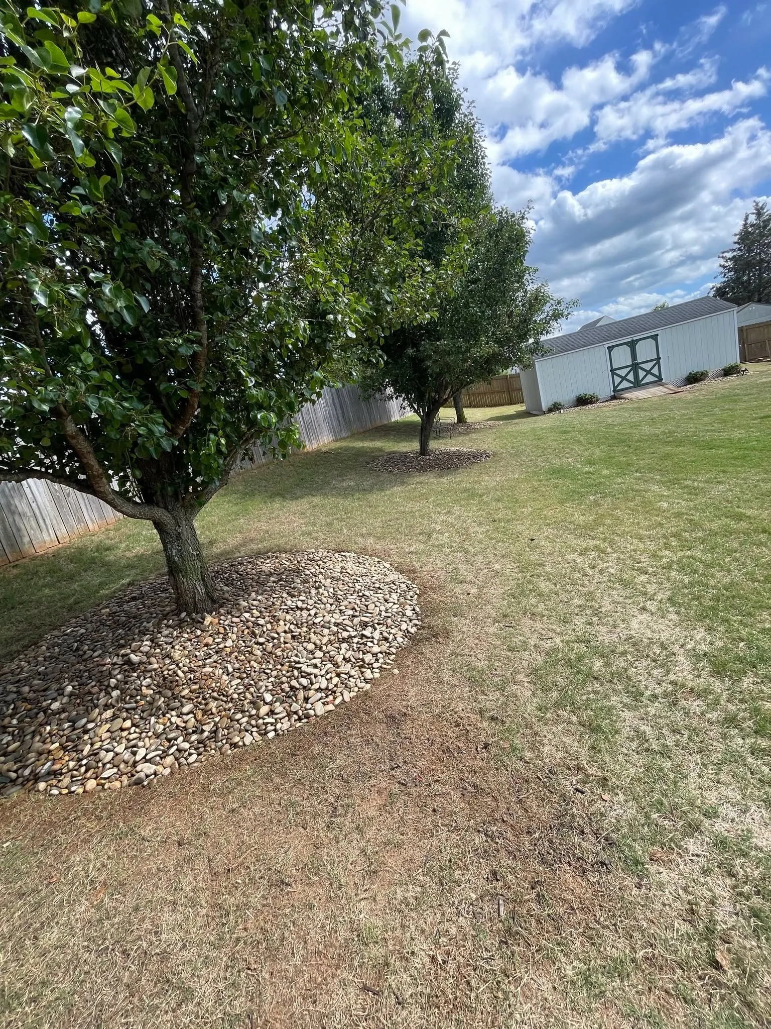 River rock tree ring backyard shed upstate sc.3b08e9c9