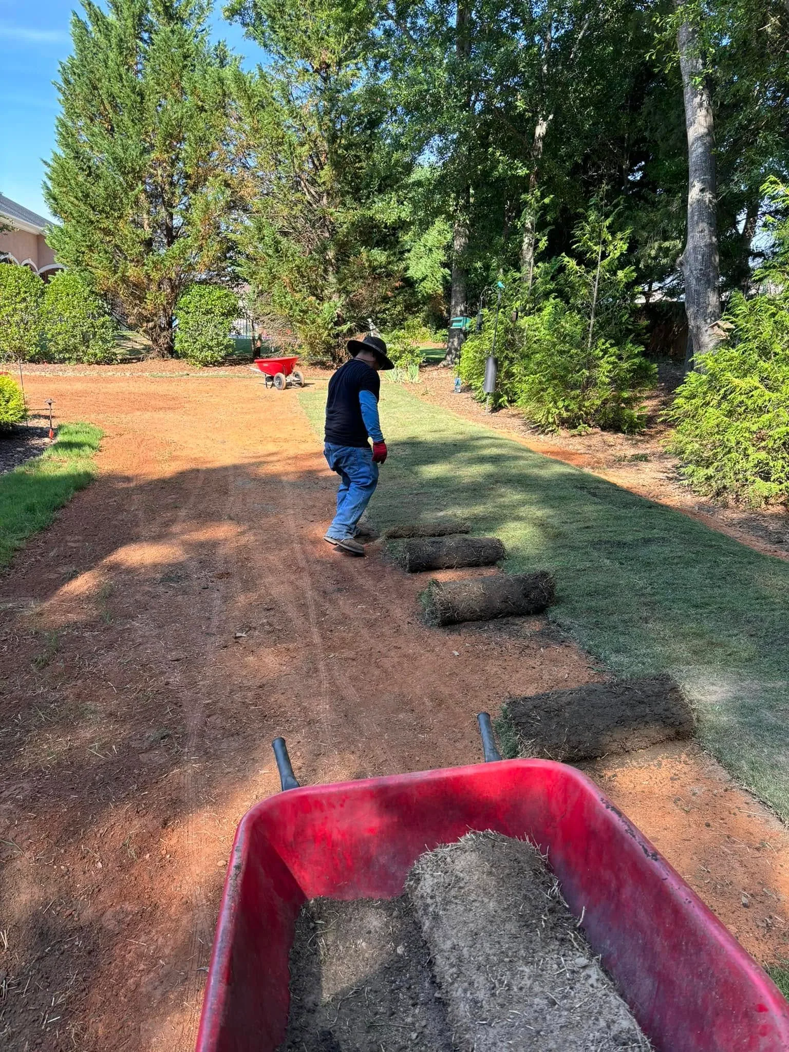 Sod installation crew red clay yard wheelbarrow
