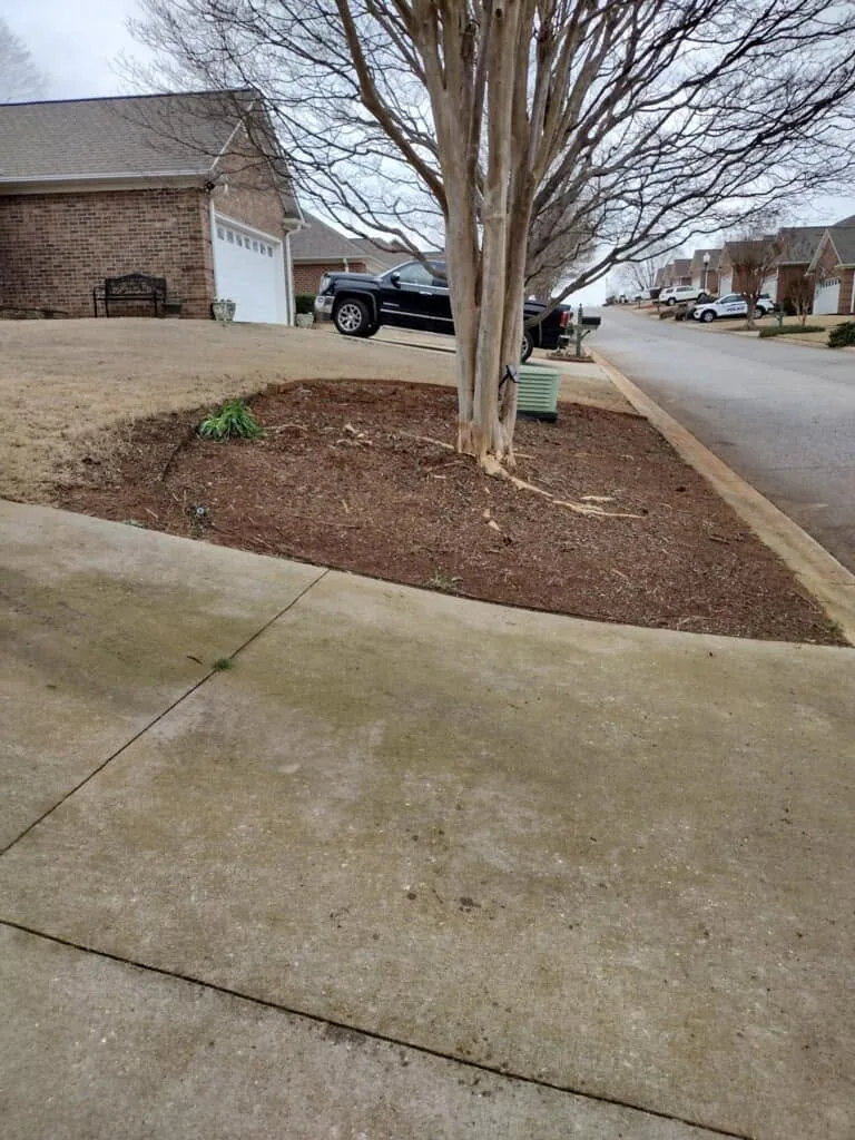 Stained concrete driveway mulch bed crape myrtle.5016cb67