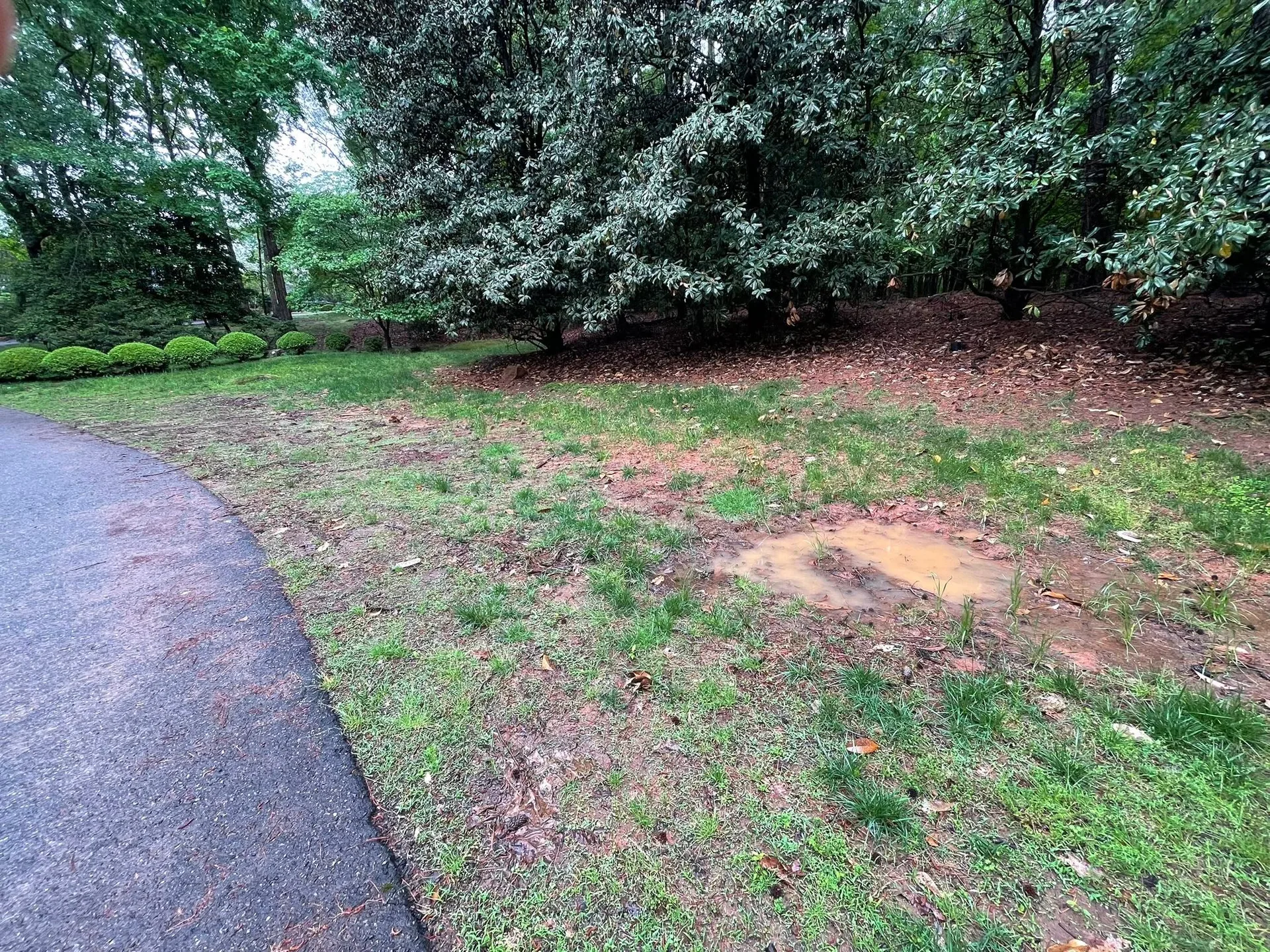 Standing water puddle patchy lawn asphalt driveway