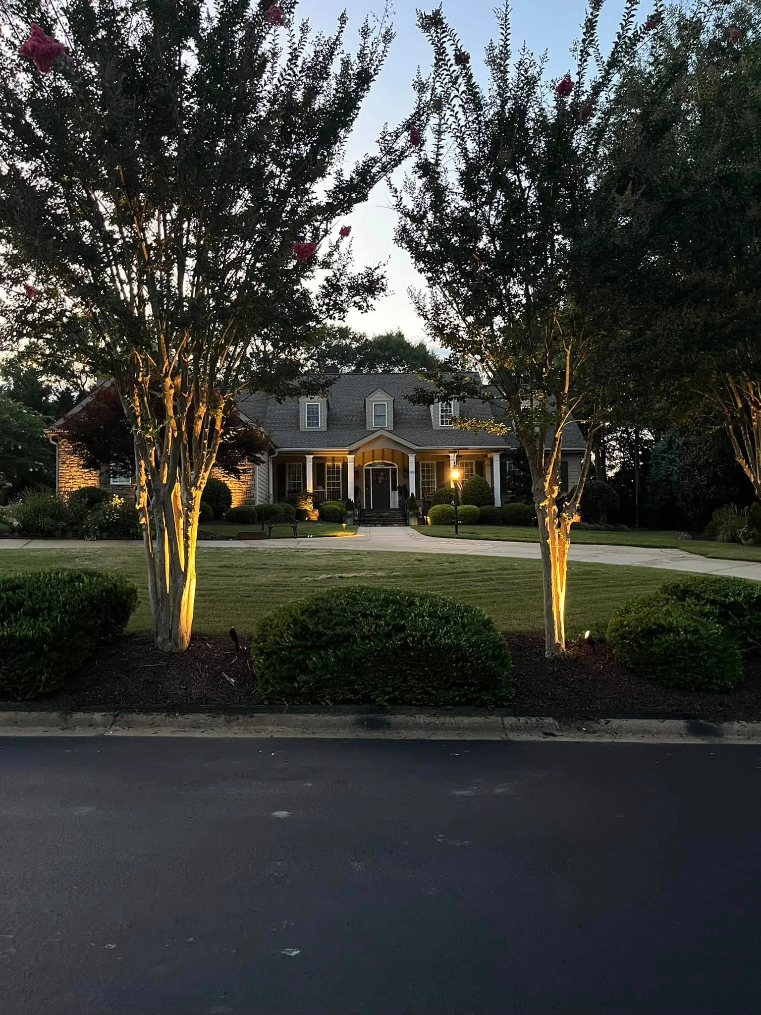Uplit crape myrtle trees front yard dusk