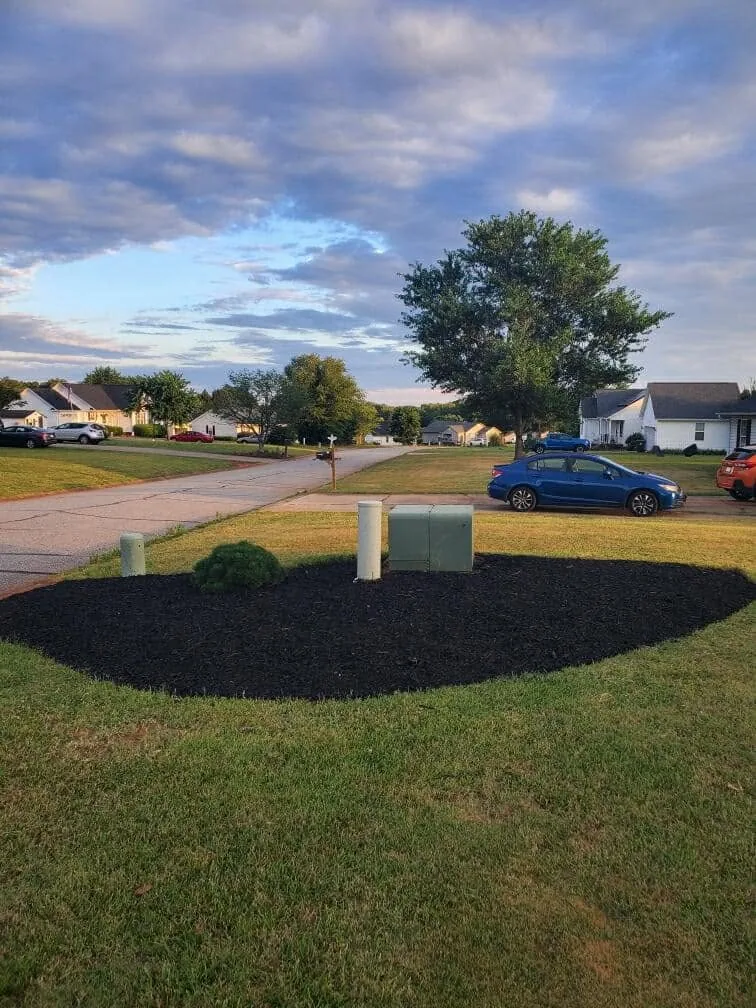 Wide black mulch island utility box suburban street.ee61d2a8