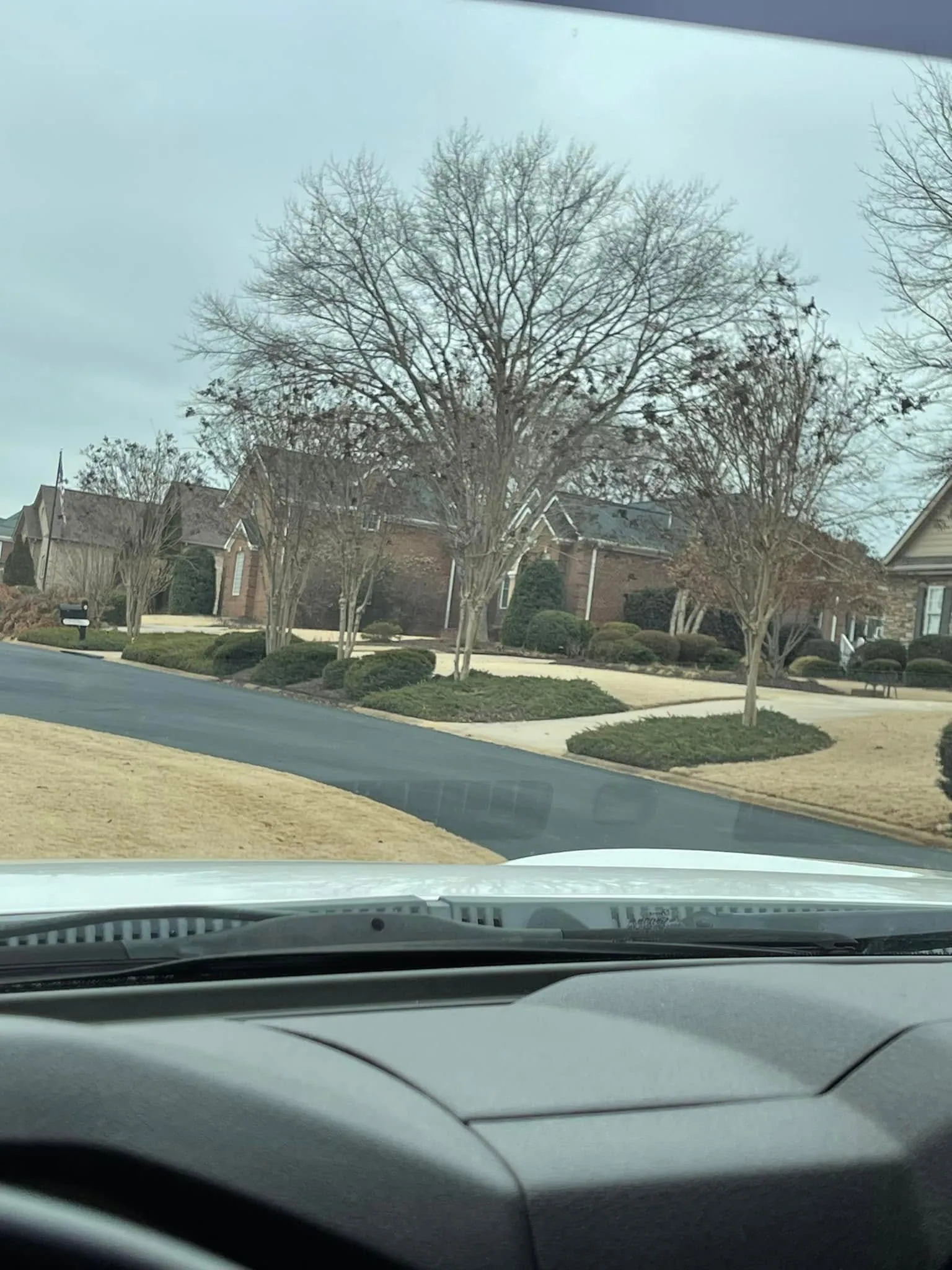 Windshield view groundcover tree islands winter neighborhood.94c3a98d