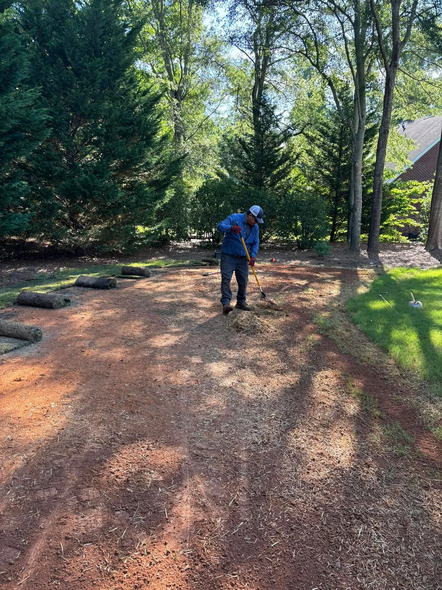 Worker raking clay soil sod prep wooded yard